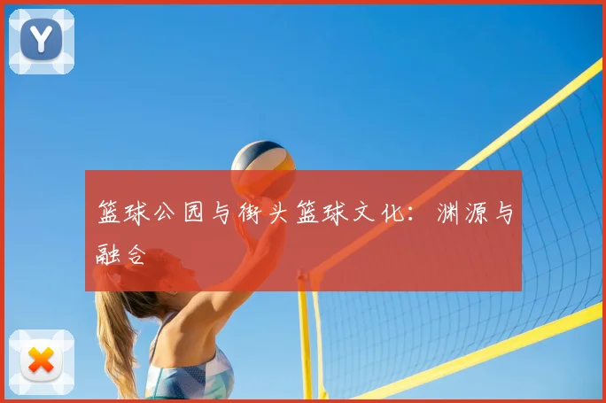 篮球公园与街头篮球文化：渊源与融合